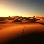 sunset view in overnight desert safari